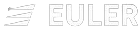 Euler Motors